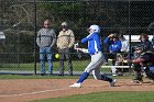 Softball vs Springfield  Wheaton College Softball vs Springfield College. - Photo by Keith Nordstrom : Wheaton, Softball